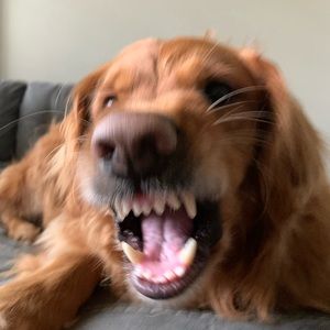 Meet your Posher, Andrew